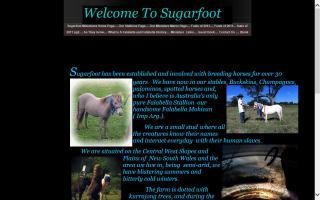 Sugarfoot Stud