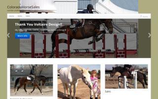 Colorado Horse Sales