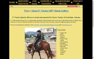 SR Tucker Quarter Horses