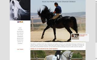 Spanish Horse Specialists