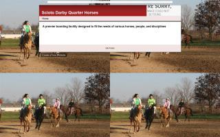 Scioto Darby Quarter Horses