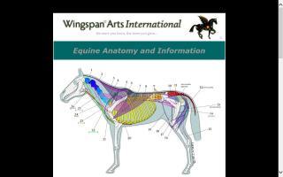 Wingspan Arts International