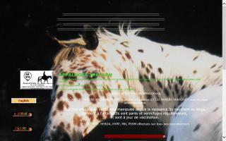 JMKFarm Appaloosa