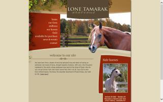 Lone Tamarak Arabians