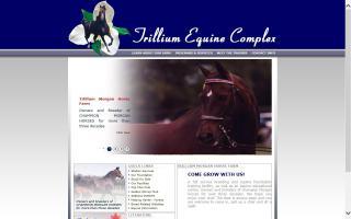 Trillium Equine Complex / Trillium Morgan Horse Farm