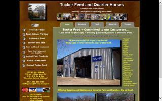 Tucker Feed and Quarterhorses