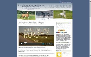 Ever After Mustang Rescue