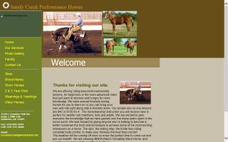 Sandy Creek Performance Horses