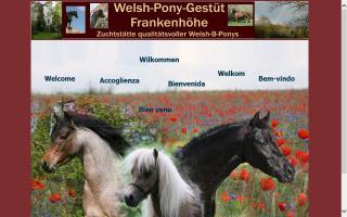 Welshpony-Gestüt Frankenhöhe