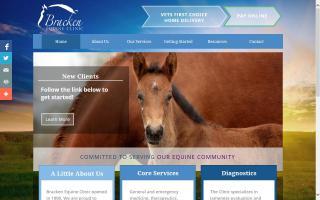 Bracken Equine Clinic