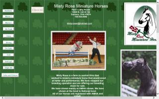 Misty Rose Miniature Horses