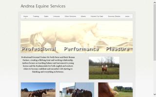 Andrea Equine Services