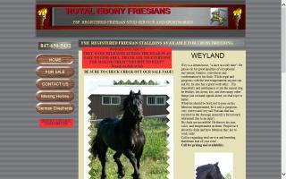 Royal Ebony Friesians