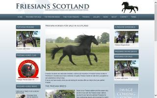 Friesians Scotland