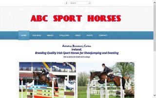 ABC Sport Horses - Ardnehue Bennekerry Carlow