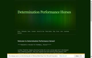 Determination Performance Horses