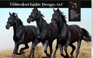 Connecticut Equine Therapy / Sue Kasmin - Certified Equine Massage Therapist