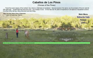 Caballos de Los Pinos