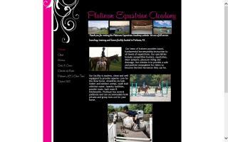 Platinum Equestrian Academy
