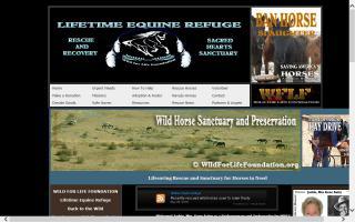 Lifetime Equine Refuge