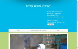 Divine Equine Therapy