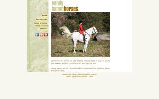 Sandy Hamm Horses