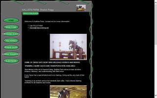 Kallista Equestrian Training