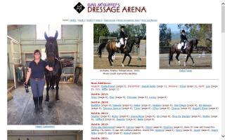 Gail McGuffey's Dressage Arena