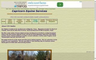 Capricorn Equine Services