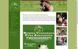 Belgium Connemara Pony Association - BCPA