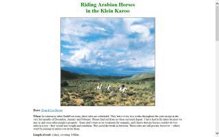 Riding Arabian Horses in the Klein Karoo