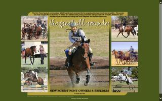 New Forest Pony Owners & Breeders - NFPO&B