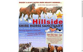 Norfolk Shire Horse Centre and West Runton Riding Stables