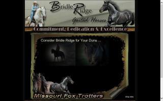 Bridle Ridge Gaited Horses