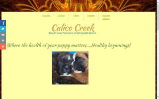 Calico Creek Foxtrotters