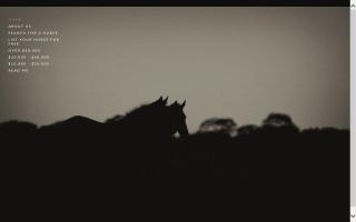 Australian Event Horses