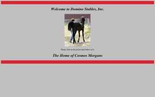 Domino Stables, Inc.