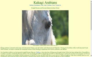 Kakagi Arabians
