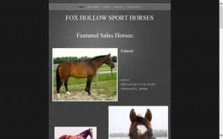 Fox Hollow Sport Horses / Manes & Reins Pony Club