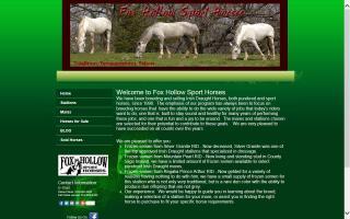 Fox Hollow Sport Horses