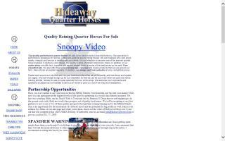 Hideaway Quarter Horses