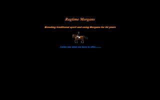 Ragtime Morgan Horses