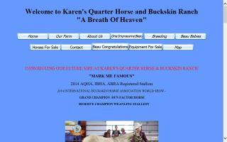 Karen's Quarter Horse and Buckskin Ranch
