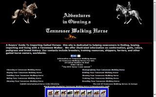 Adventures in Owning A Tennessee Walking Horse