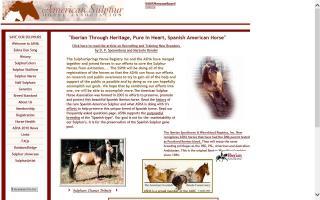 American Sulphur Horse Association - ASHA