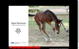 Seguin Sporthorses