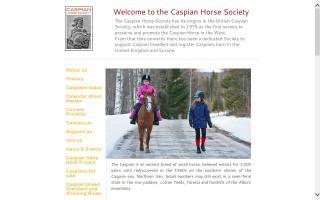 Caspian Horse Society, The (UK)