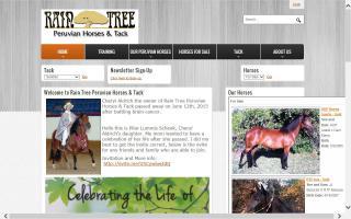 Rain Tree Peruvian Horses & Tack