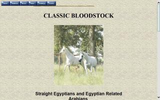 Classic Bloodstock
