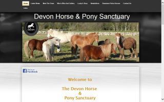 Devon Horse and Pony Sanctuary - DHPS